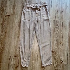 Tan AEO Cargo Pants